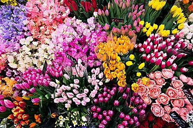 GSC宣布要为初代《潜行者》三部作品发布更新